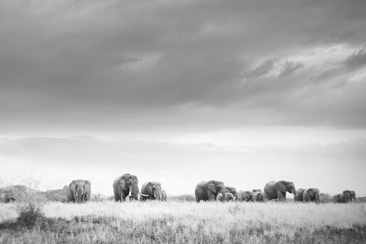 Rhino Sands Safari Camp Manyoni Private Game Reserve Bagian luar foto