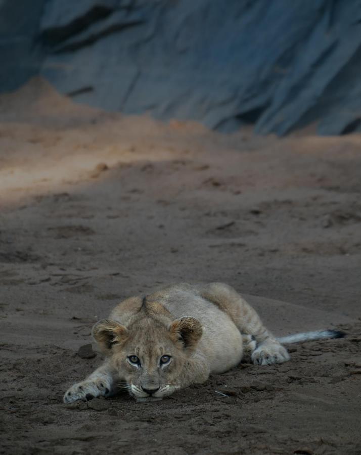 Rhino Sands Safari Camp Manyoni Private Game Reserve Bagian luar foto